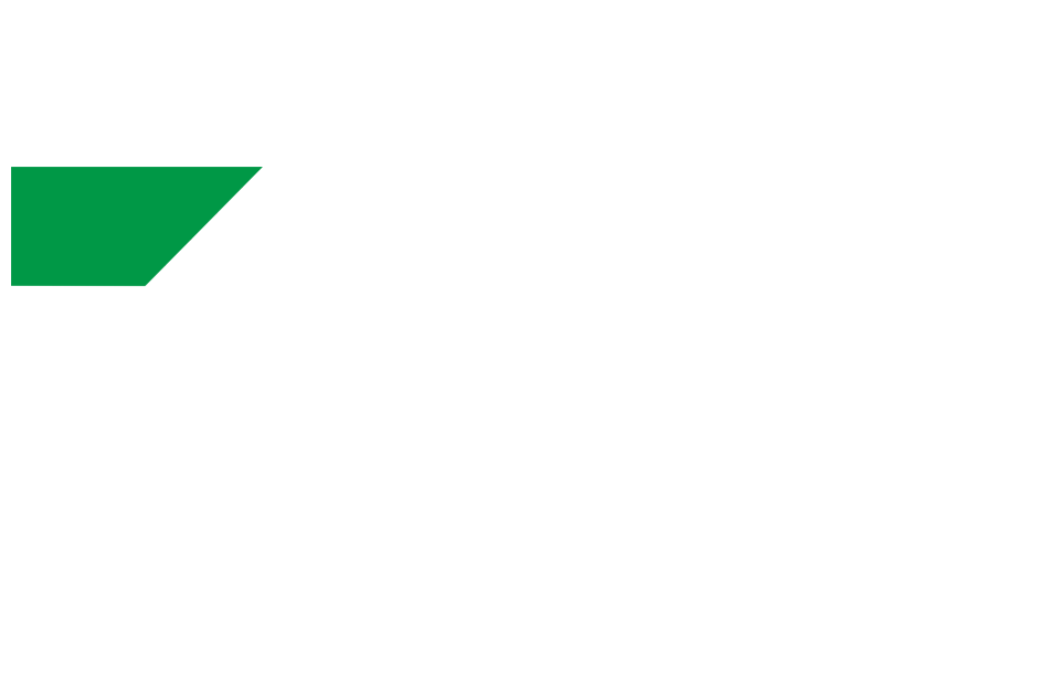 Footer-logo